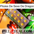 Dragon Sex Pills new11